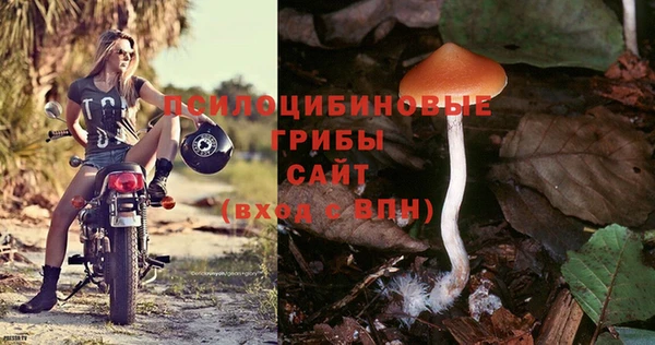метамфетамин Богородицк