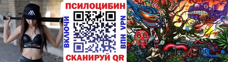 Псилоцибиновые грибы MAGIC MUSHROOMS  даркнет сайт  Фёдоровский 